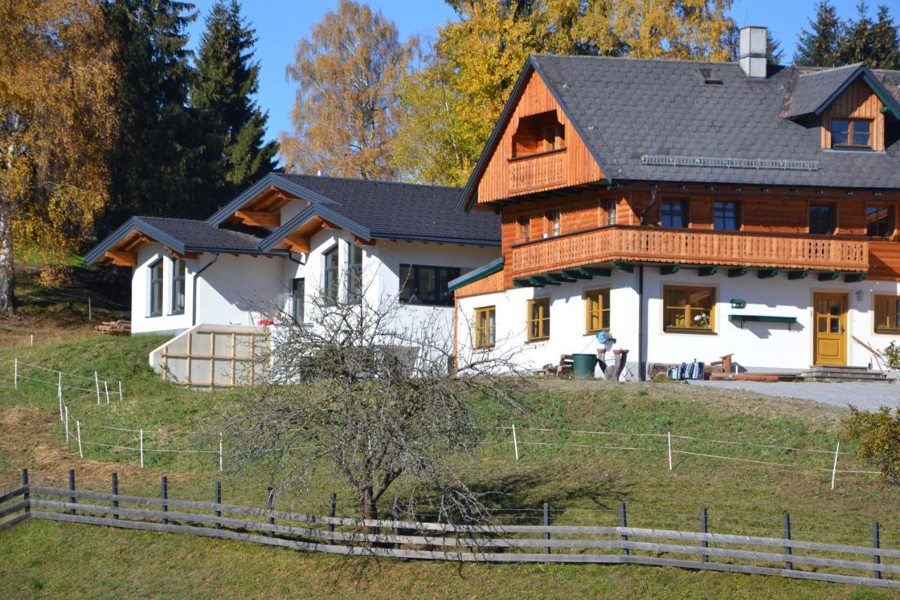 Appartement - Das Kleine Bleiberger By Schladmingurlaub Εξωτερικό φωτογραφία